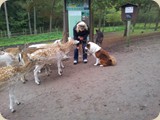 Aaron war das erste Mal im Wildpark 