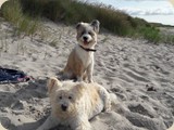 hier sind beide im Sommerlook