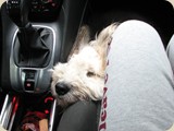 im Auto nach drei Minuten schon eingepennt...