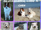zum 3. Geburtstag