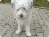 Angelie ist noch etwas wackelig auf den Beinen