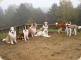 ..fürs Gruppenfoto.