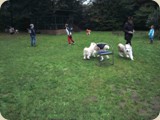 Vor dem Abschied nochmal alle 
Kinder raus in den Garten