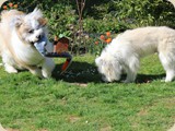 ...als Animateur;)