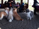 es könnte ja auch mal ein Krümelchen runterfallen