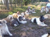 Gruppenfoto: wer hat den längsten Lecker;)