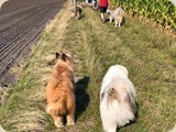 gemeinsamer Spaziergang