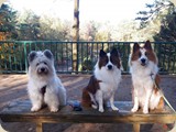 Herbsttreffen der A-chen Geschwister im Wildpark
