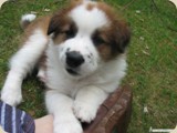 coole Socke...