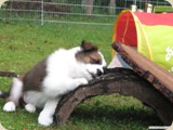 ...und schmeckt anders