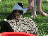 Hallo Besuch