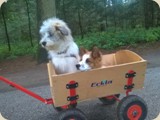 weiter gehts