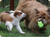 Keke und Fenjo