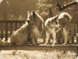 waren beim Fotoshooting