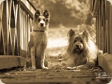 und geben ein tolles Bild ab!