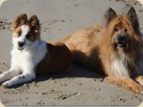 Keke und Fenjo