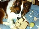 Aaron liebt Verpackungen