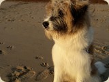 Oskar, vom Winde verweht :)