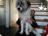 und auf Muttis Schoß...passt doch noch