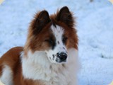 und das war im Schnee