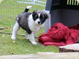 ich werde auch bald wieder besucht:)