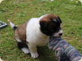 ...und an Besuchersocken...