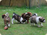 Zusammen spielen...