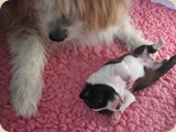aber Mama ist natürlich die Beste