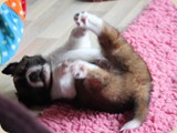 ist das toll...