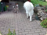 ist hier mit ihren wirklichgroßen Freunden unterwegs