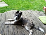 Juchuuu,  BeeFee hat uns besucht!