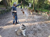 ...Anke wusste sich da durchzusetzen :)