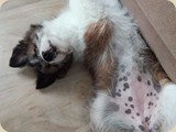 Holly fühlt sich sichtlich wohl