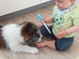 ...und Holly beim Zähneputzen? ;)