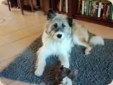 sie liebt ihre Kuscheltiere...