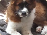 ...neue Familien:)