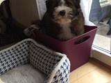 Bilbo in the box;)...