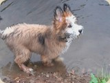...im Wasser klappt es prima ;)