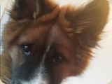 Barney kommt auch bald zu Besuch :)
