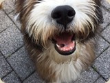 Halli  hallo, es gibt neue Fotos
