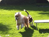 die hat auch mit  Barney getobt