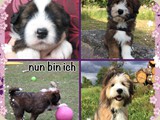 ...das war zum sechsten...
