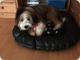 ...und einfach knuffig...