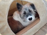 ...und das ist Schwester Holly