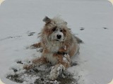 unser erstes Schneeerlebnis...
