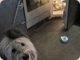 ...und Baila den Frischkäse aus dem Kühlschrank