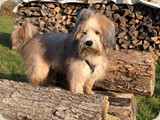 und Bilbo gratulierten aus der Ferne